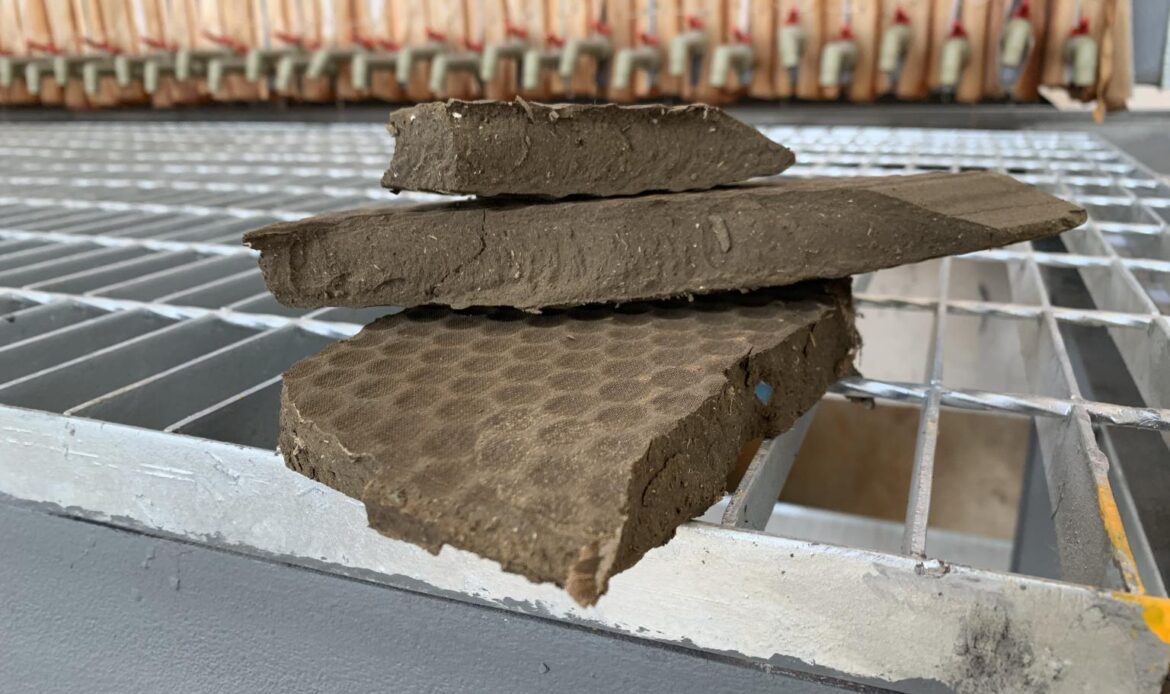 Torta-Seca-Lona para filtro prensa